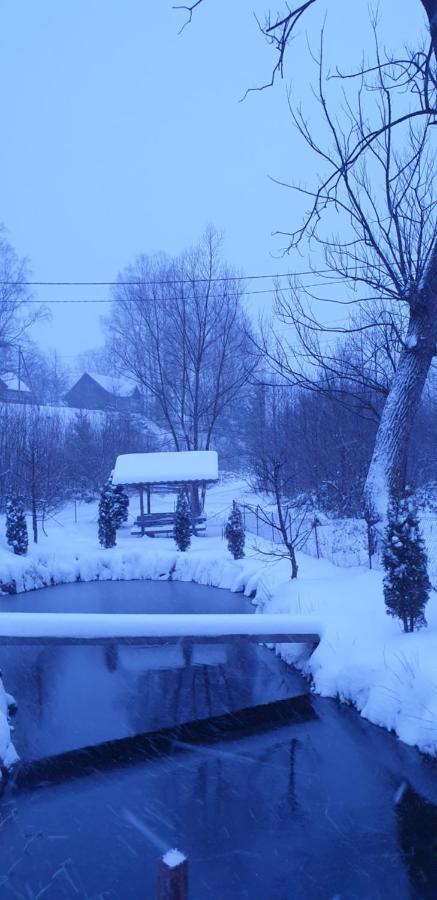Mlynski Mykulychyn Dış mekan fotoğraf